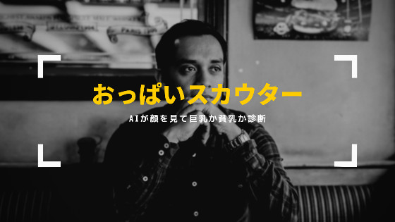 巨乳か貧乳か顔診断